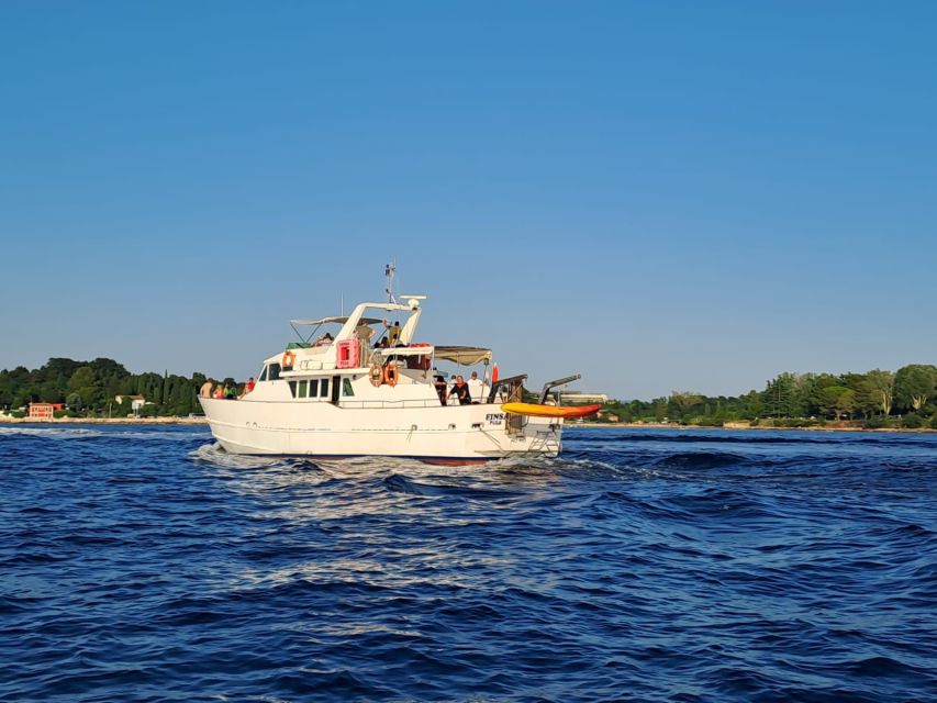 Umag: Sunset Cruise with Dolphin Spotting - Searching the Adriatic for Dolphins