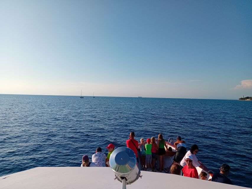 Umag: Sunset Cruise with Dolphin Spotting - A Schnapps Toast Before the Search Begins