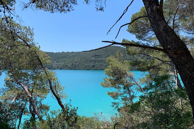 Visit magical Mljet Island with private speedboat - Is $1,490.31 Good Value?