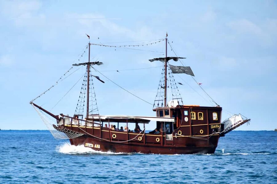 Vrsar: Dolphin Watching Boat Ride - Quick take: what makes this Vrsar cruise worthwhile