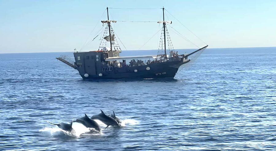 Vrsar: Dolphin Watching Boat Ride - Setting out from the Pirate Boat Sveta Ana