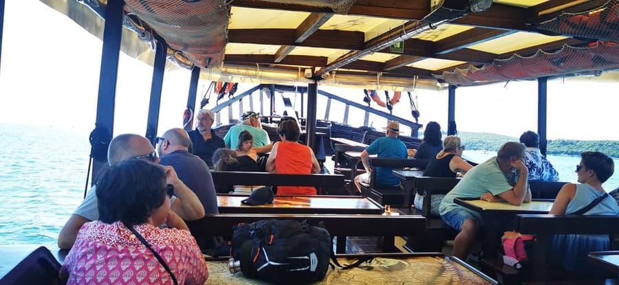 Vrsar: Dolphin Watching Boat Ride - Drinks, Istrian wine, and the pace of the ride