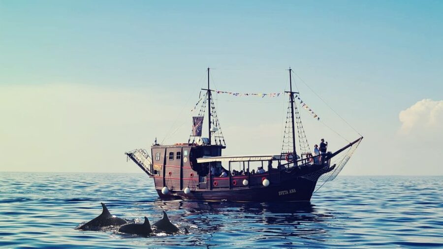 Vrsar: Dolphin Watching Boat Ride - Practical advice before you book