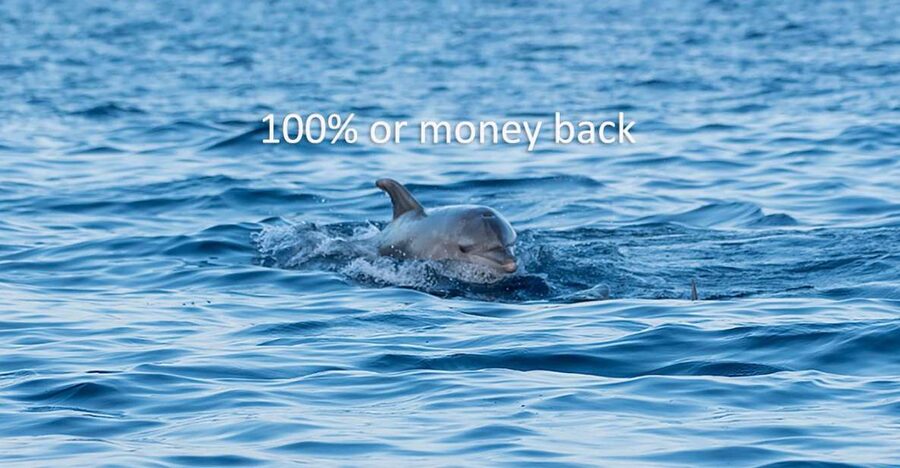 Vrsar: Dolphin-Watching Sunset Adventure with Speedboat - What the 100 percent guarantee really means