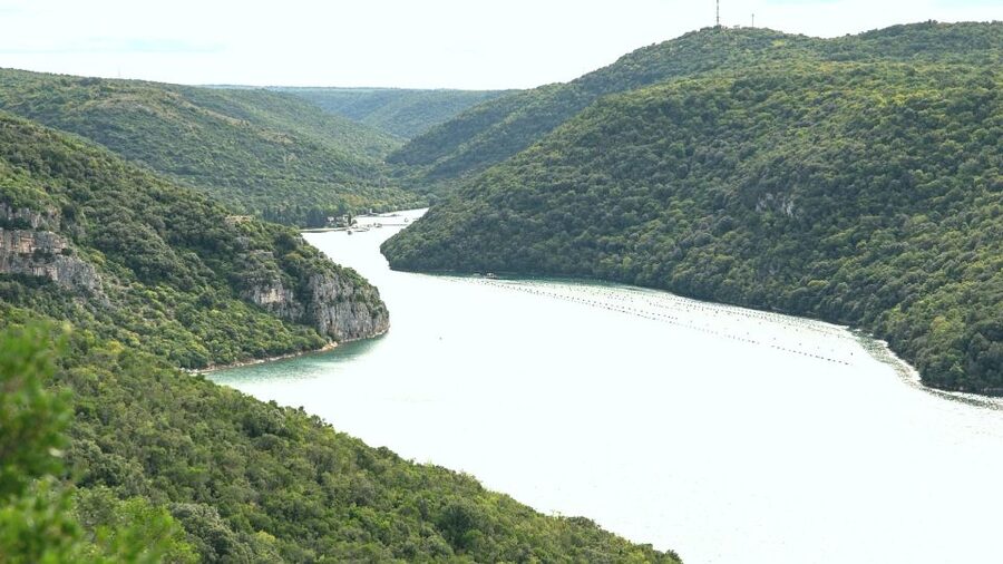 Vrsar: Lim Fjord Boat Tour with Swimming near Pirate's Cave - Practical packing advice for Pirate’s Cave