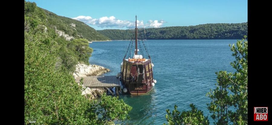 Vrsar: Lim Fjord Boat Tour with Swimming near Pirate's Cave - What the strongest praise tells you