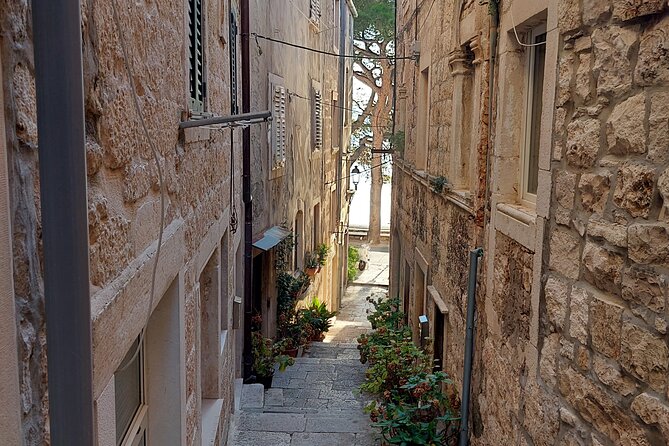 Walking Tour in old town Korcula 1 Hour - Who should book this Korcula walk?