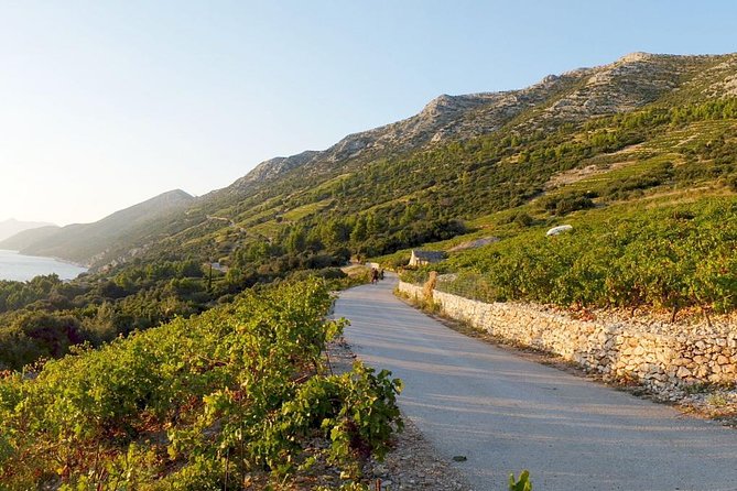 Wine Lover's Tour of Peljesac Peninsula - Ston, oysters, and a short look at the wall