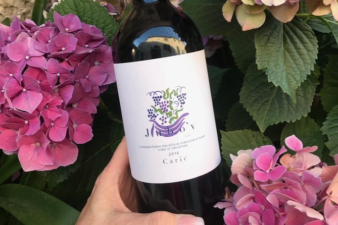 Wine Lovers tour from Hvar - What the tasting experience is really like