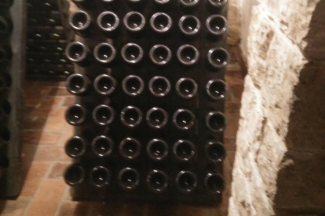 Wine & more Tour , private guided wine tour from POREC, UMAG ,Istria - The Drive Through Central Istria