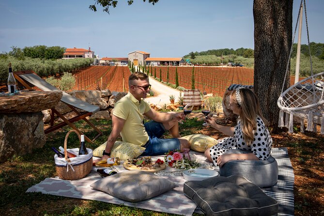 Wine picnic - Key things to know before you book