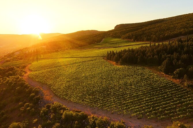 Wine Tasting Grabovac Tour From Makarska - Group size, timing, and the overall pace