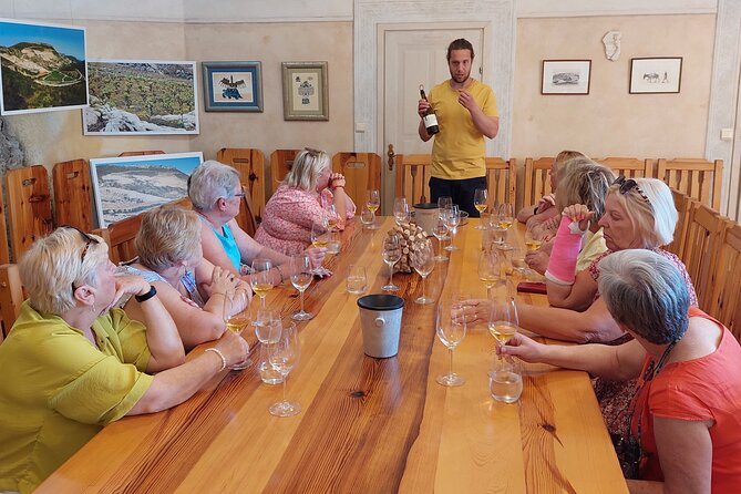 Wine tour Peljesac - Boljenovići Ponikve and third-generation production
