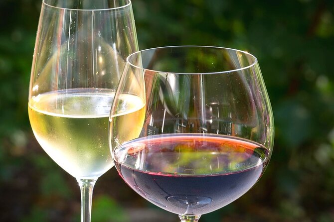 Wine tour peninsula Pelješac - Lunch in Mali Ston, with seafood on the menu