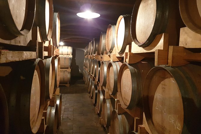 Wine Tour - The Best of Istria - A Full Day Beyond Rovinj’s Old Town