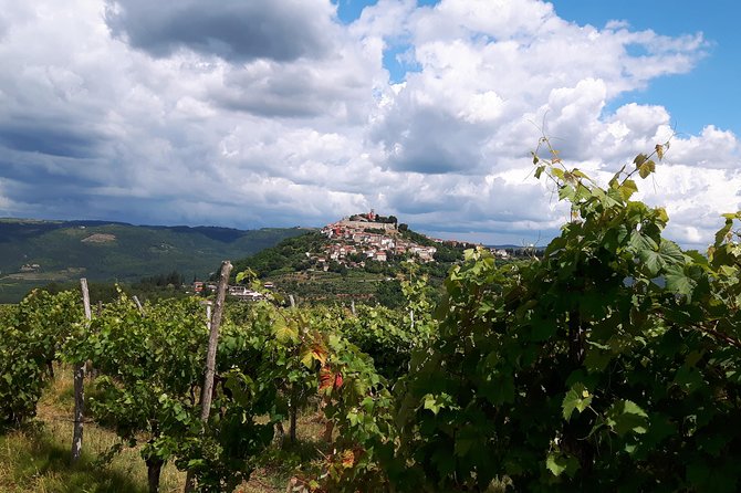 Wine Tour - The Best of Istria - Starting With Pickup in Rovinj