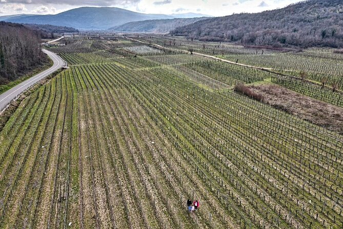 Winery Tour and Tasting with the Sommelier in KRK - Key points to know before you book