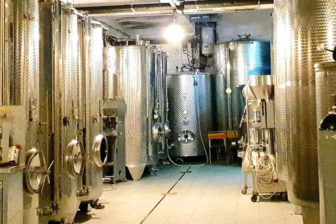 Winery Tour and Tasting with the Sommelier in KRK - What the $62.61 price really covers