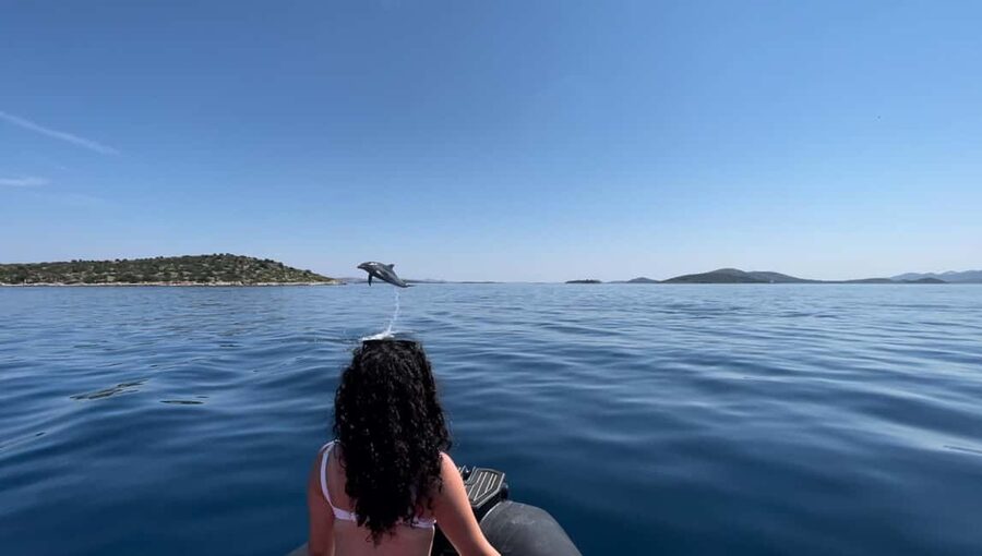Zadar: 3-Island Speedboat Tour with Snorkeling and Drinks - Ošljak: your fullest island stop