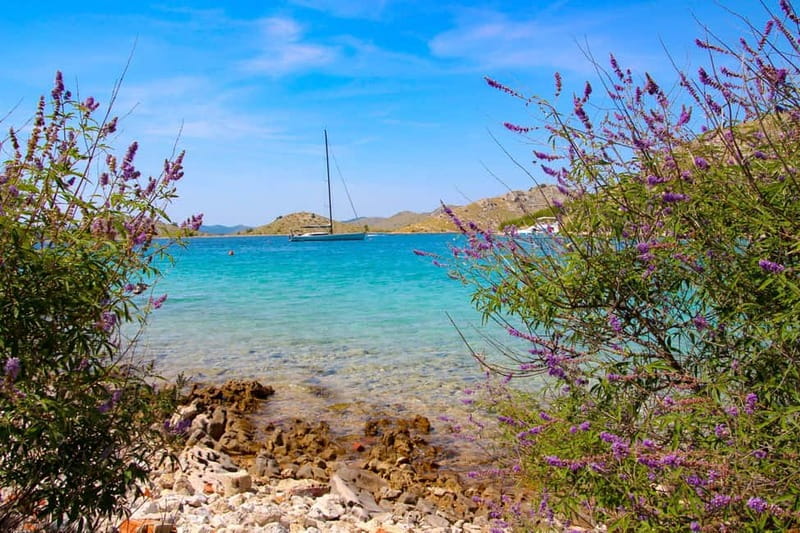 Zadar: 3-Stop Blue Lagoon & Snorkeling Cruise with Drinks - Who should book this cruise?