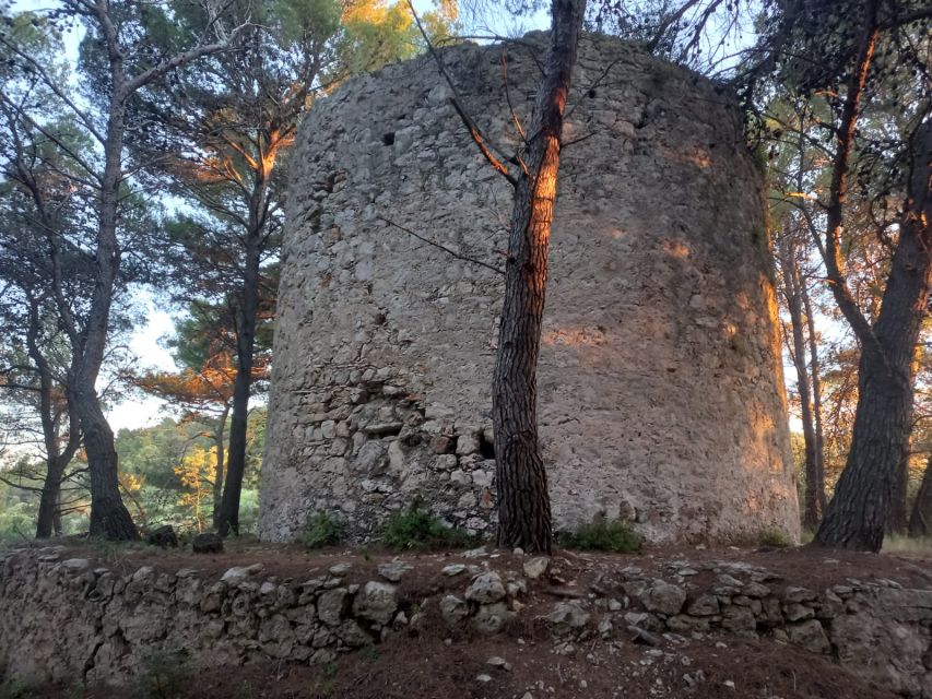 Zadar: Boat tour Half day -Private - Booking details worth knowing