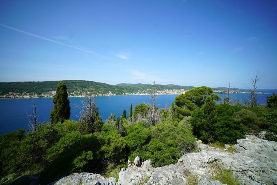 Zadar: Guided Tour to Ugljan, Osljak, & Galevac by Speedboat - A second chance to swim in Preko