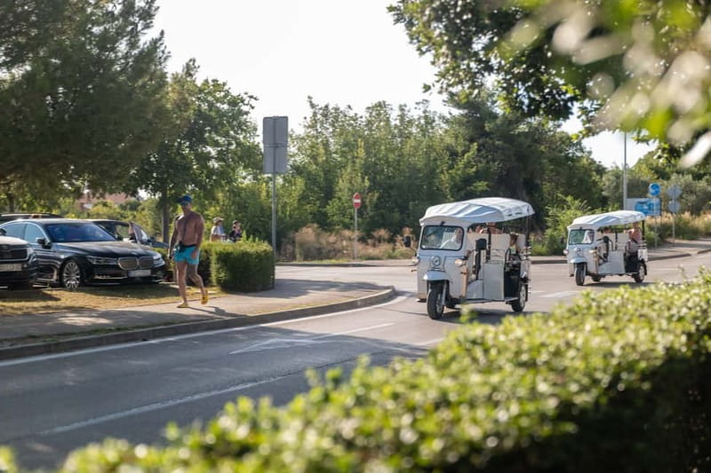 Zadar: Hidden Gems Eco Tuk Tuk Tour - The Sea Organ, where the waterfront makes music