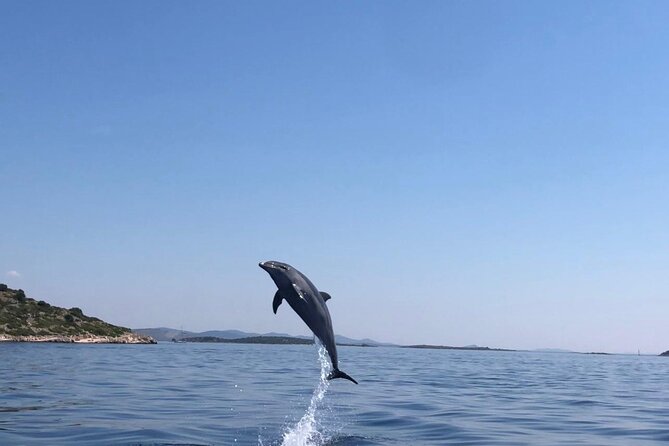 Zadar: Island Luxury Speedboat Tour with Snorkeling - Who will enjoy this Zadar island tour most