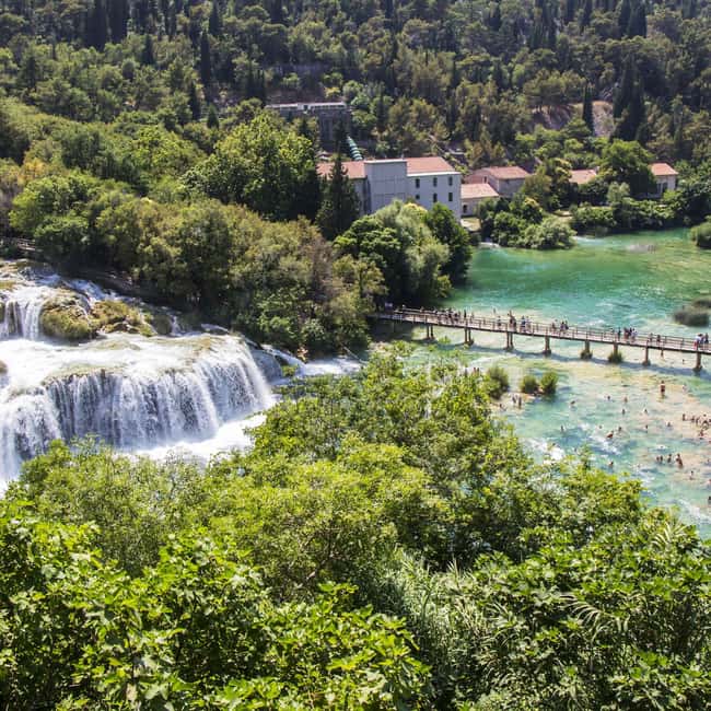 Zadar: Krka falls, olive mill, lunch, oil & wine tasting - The olive grove and the making of extra virgin oil
