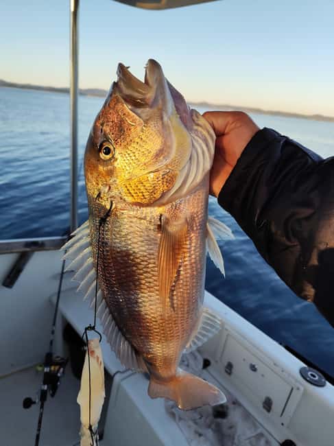 Zadar: Sunset Fishing Half-Day Guided Boat Trip - The long middle stop: swimming, snacks, and sunset