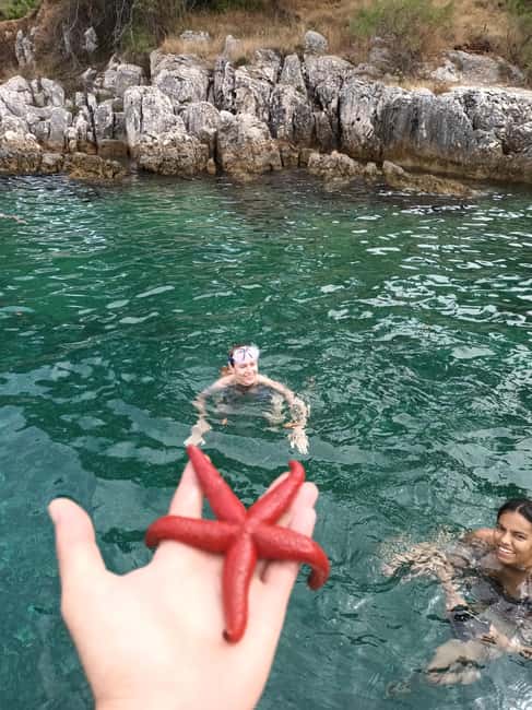 Zadar:Ugljan, Frnaža,Galevac &Ošljak free beer & anchovies - Ošljak, a tiny island with only 29 residents